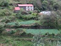 Levada Wanderung, mit Gemüse angepflanzte Terrassenhänge