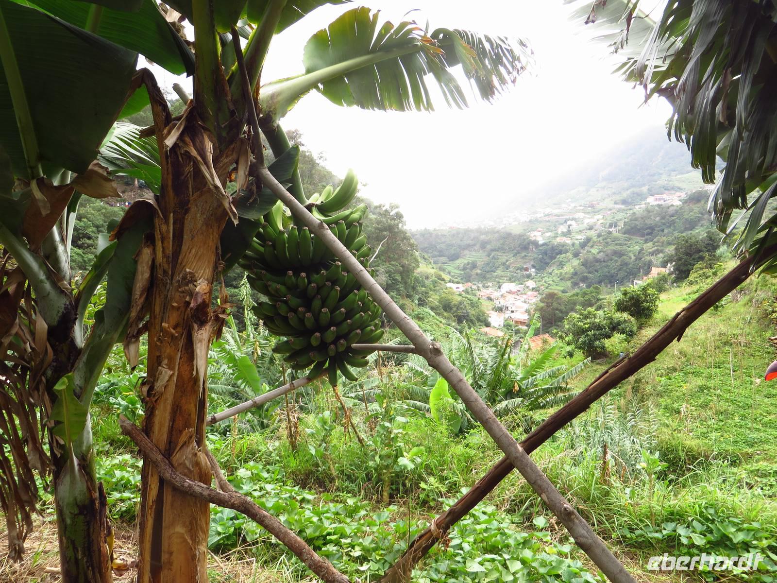 Levada Wanderung