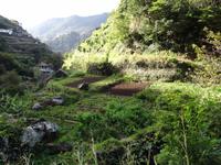 Levada Wanderung
