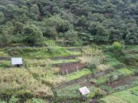 Levada Wanderung