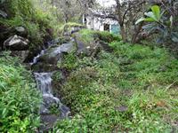 Levada Wanderung