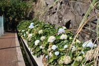 Levada Wanderung_2
