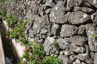 Levada Wanderung_20