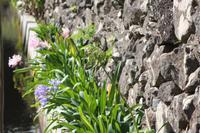 Levada Wanderung_22