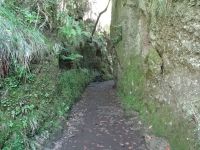 Levada do Balcoes