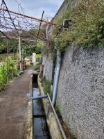 Levada in der Region von Camacha