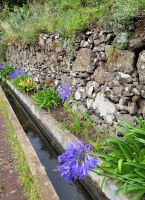 Levada in der Region von Camacha