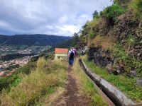 Levada in der Region von Camacha