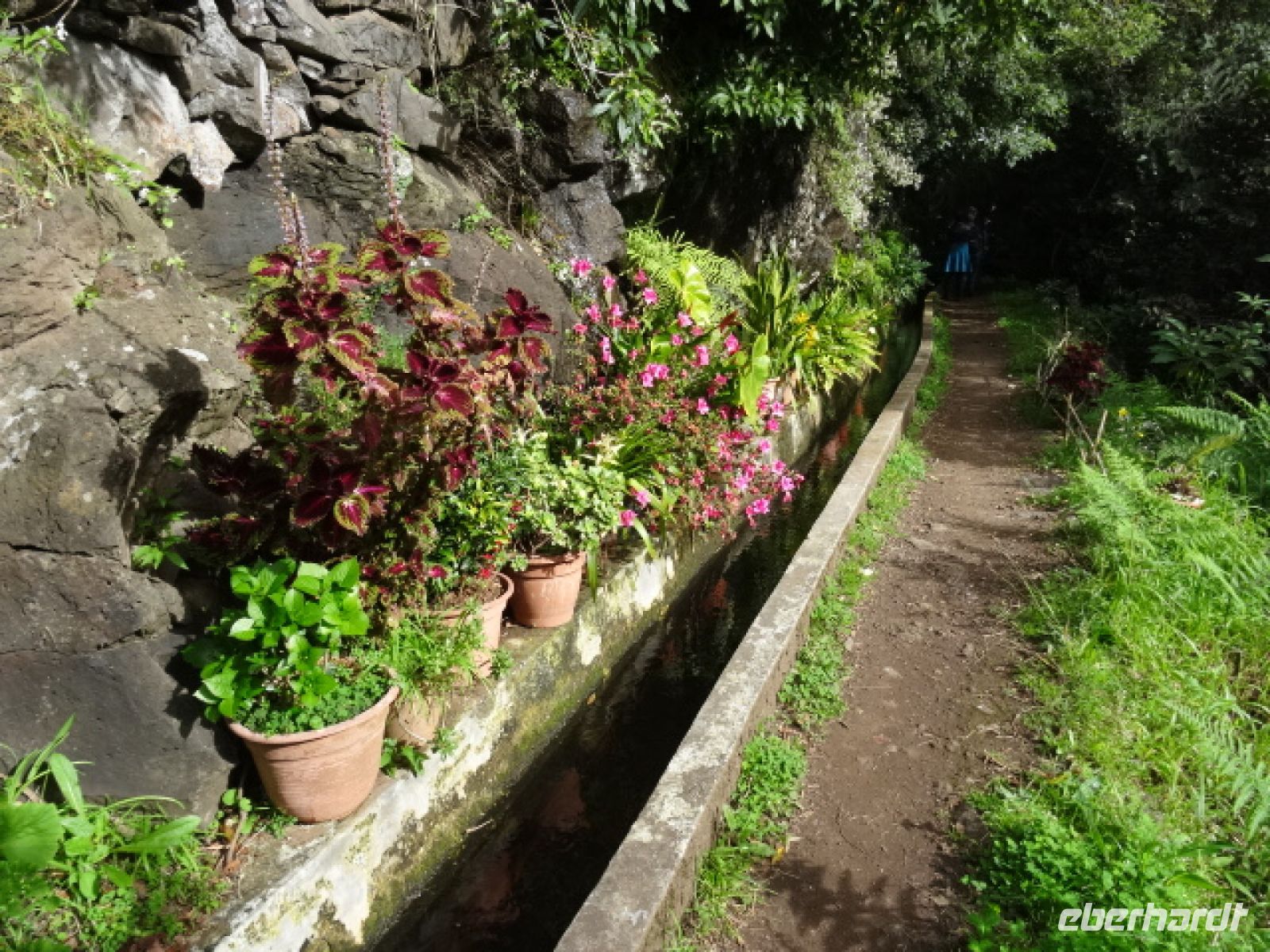 Levada von Marocos