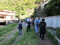 Levada von Marocos
