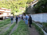 Levada von Marocos