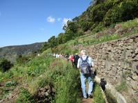 Levada von Marocos