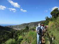 Levada von Marocos