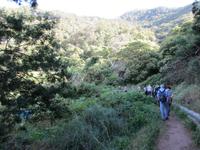 Levada von Marocos
