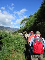 Levada von Marocos