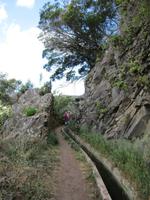 Levada von Marocos