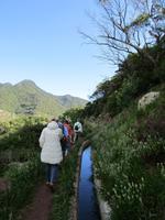 Levada von Marocos