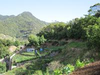 Levada von Marocos