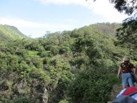 Levada von Marocos