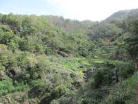 Levada von Marocos