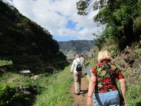 Levada von Marocos