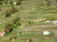 Levada-Wanderung - Blick auf die Reisegruppe