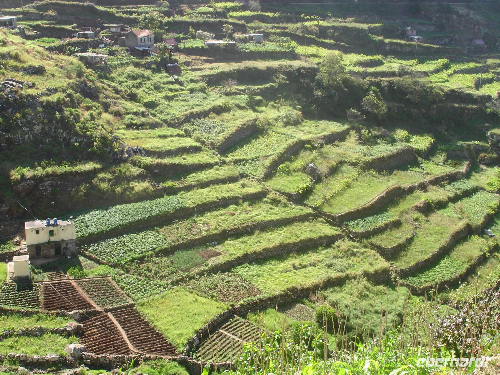 Levada-Wanderung 