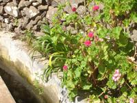 Levada-Wanderung 