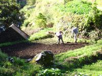 Levada-Wanderung 