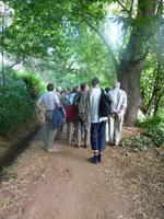 Levada-Wanderung
