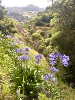 Levada-Wanderung