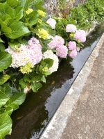 Levada-Wanderung