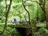 Levada-Wanderung