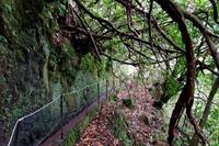 Levada-Wanderweg