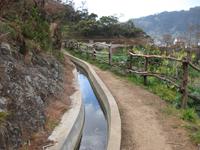 Levada