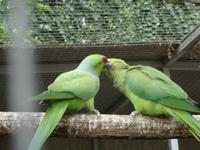 Loro Park