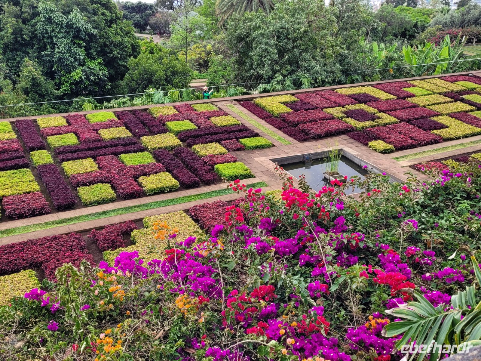 Madeira Botanical Garden
