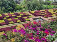 Madeira Botanical Garden