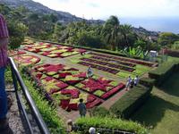 Madeira, Funchal, Bot. Garten
