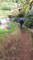 Madeira: Levada-Wanderung