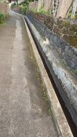 Madeira: Levada-Wanderung