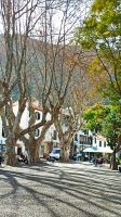 Madeira: Machico: Rundgang