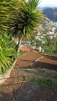 Madeira: Pico dos Barcelos