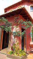 Madeira: Quinta Splendida: Botanischer Garten