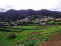 Madeiras Westen
