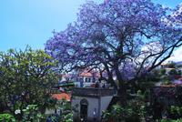 Marias Garten
