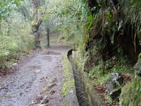 Mini - Levada-Wanderung im Regen