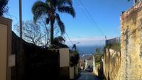 Monte, mit dem Korbschlitten bergab nach Funchal