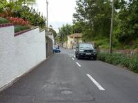 Monte: Korbschlittenfahrt