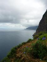 Natur pur